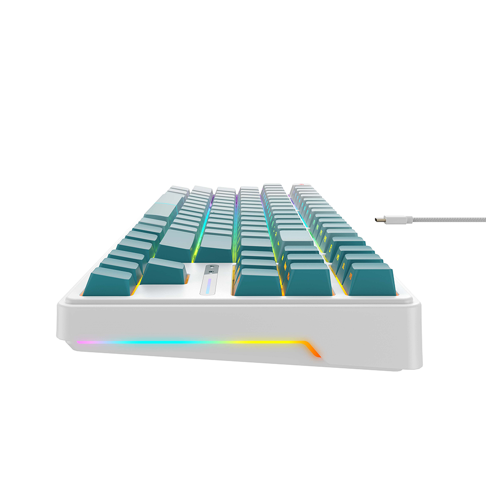 CLAVIER GAMER HAVIT MECANIQUE KB901L
